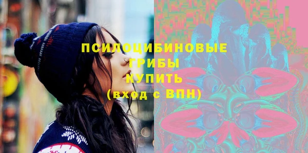 бошки Козельск