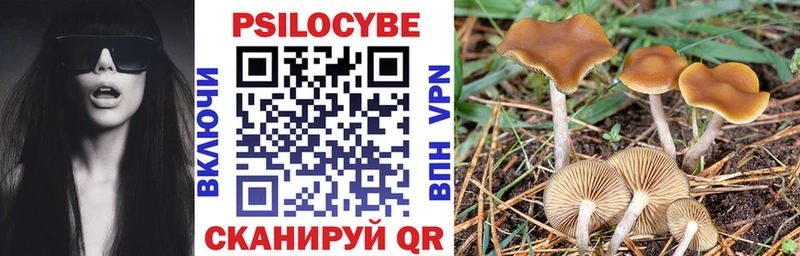 Псилоцибиновые грибы GOLDEN TEACHER  Купить  Бугуруслан 
